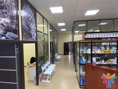 Ветклиника Снежный Барс в Можайске предоставляет весь спектр ветеринарных услуг